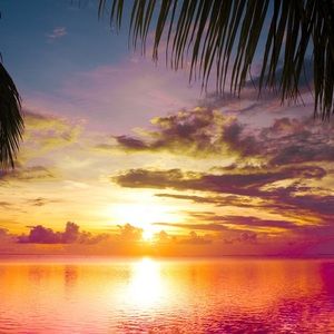 Meet your Posher, Lourdes